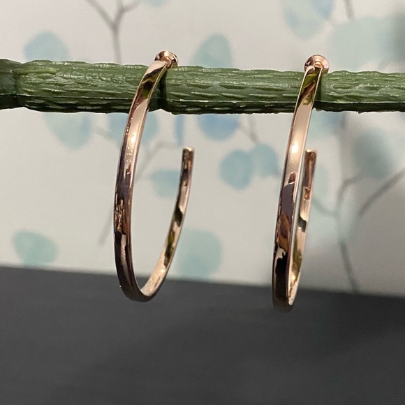 Hayoso 18k Rose Gold Plated Over Sterling Siver Hoop Earrings - Picture 2 of 7